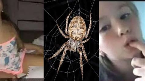 la niña araña video